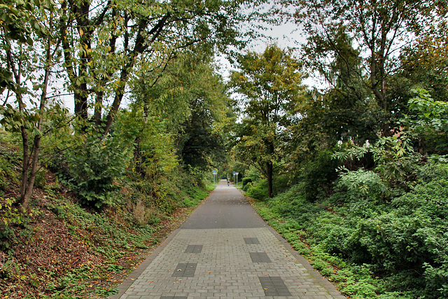 Radweg "Allee des Wandels", ehemals Trasse der RBH-Zechenbahn (Herten-Disteln) / 17.10.2020