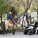 Our Alien helping the Mexican police on a scooter.