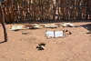 Namibia, Ancient Skin Drying Technology in the Damara Living Museum