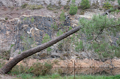 Ancienne carrière de grès