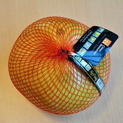 Pomelo