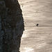 late evening at Bempton Cliffs