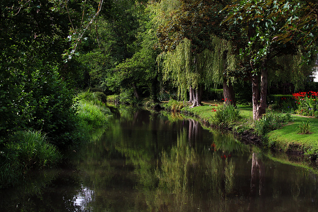 La Juine , une découverte cette petite rivière   .