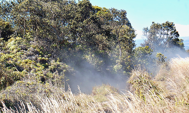 Steaming Vent