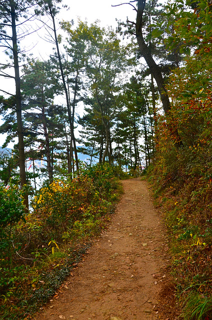 Walk in the Okpo hills