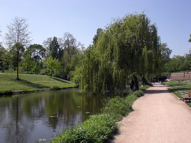 Frühling am Teich