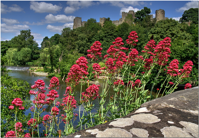 Ludlow Bridge and Castle