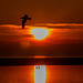 West Kirby Marine Lake sunset6