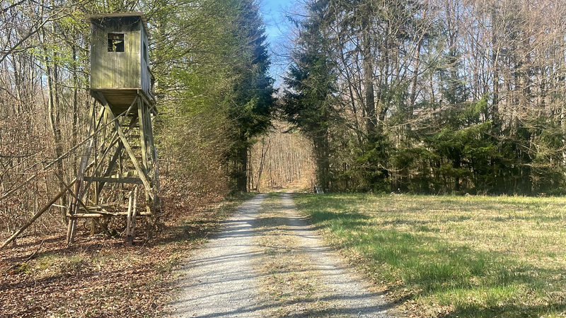 The Tunnel