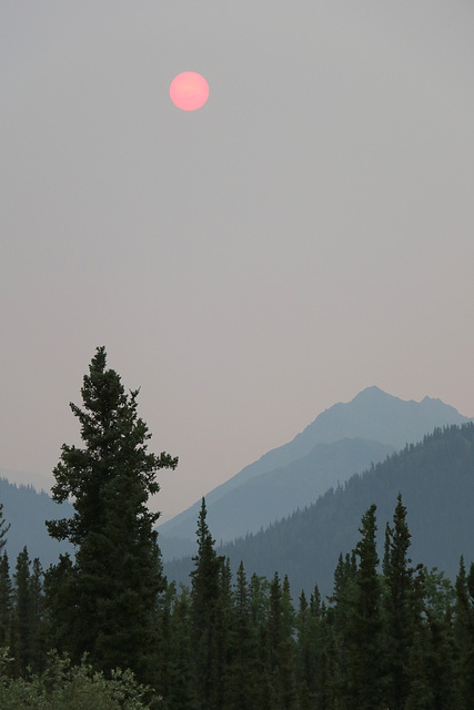 Summer Evening Near Turnagain Arm