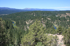 IMG 8085