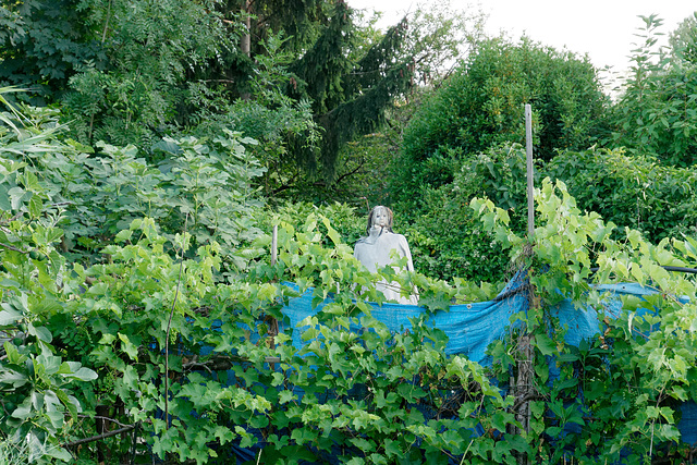 Le fantôme des jardins