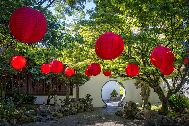 Chinese Lanterns