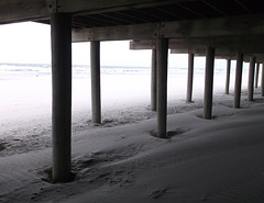 Sable ou litière humaine....