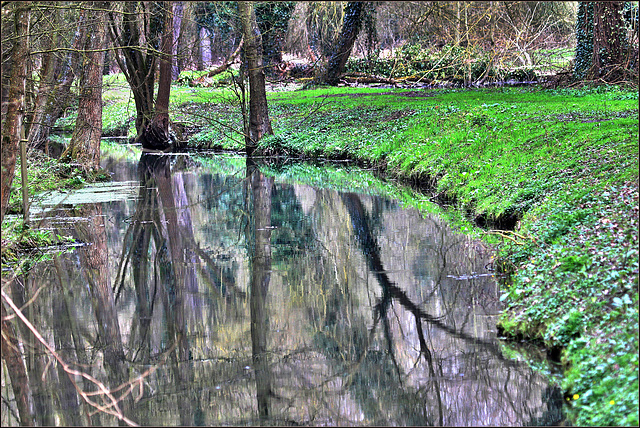 Marais d'Annezin