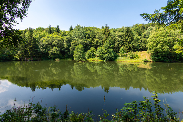 Basaltsee - 20150811