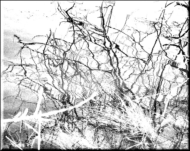 Winterwasser Winterwasser