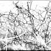 Winterwasser