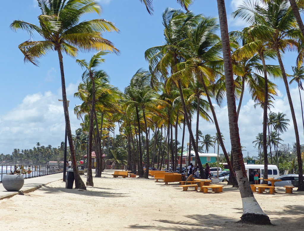 Picnic area, Manzanilla Beach, Trinidad