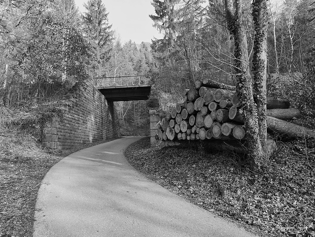 Unterführung der Sauschwänzle Bahn in der Wutachschlucht