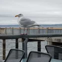 20190423 142350 001 20190423 142350 001