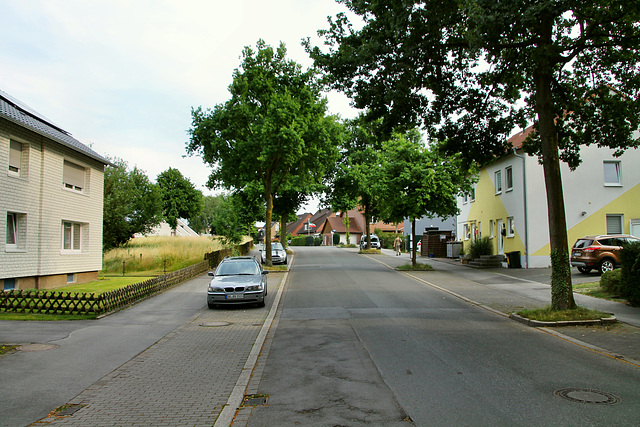 Im Löken (Dortmund-Brechten) / 22.06.2019