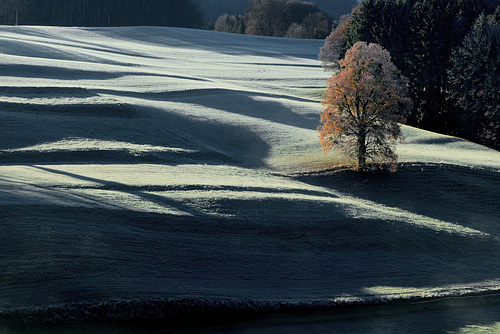 Ein frostiger Morgen