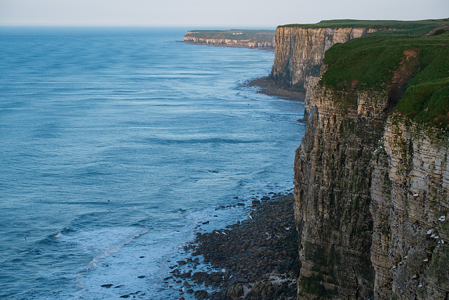 Bempton Cliffs to the South
