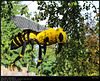 IMG 8423.jpg 2017 09 16  Zoo Planckendael II