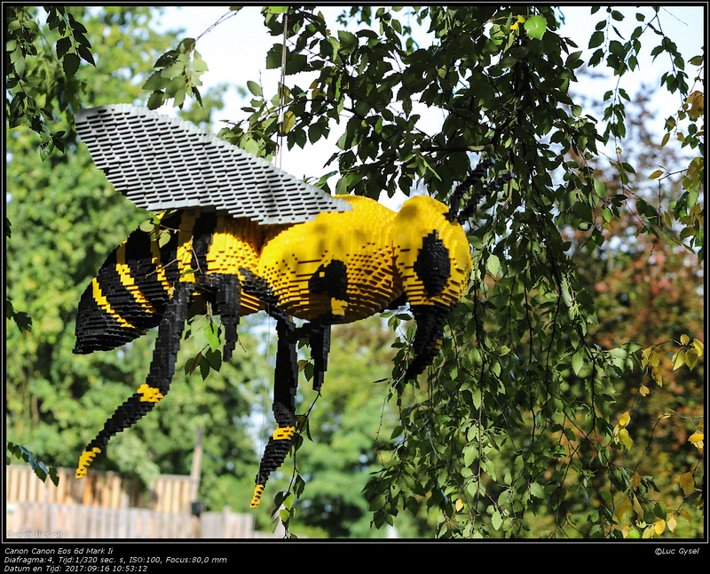 IMG 8423.jpg 2017 09 16  Zoo Planckendael II