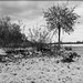 Am Rhein, Petersau - Sandbank