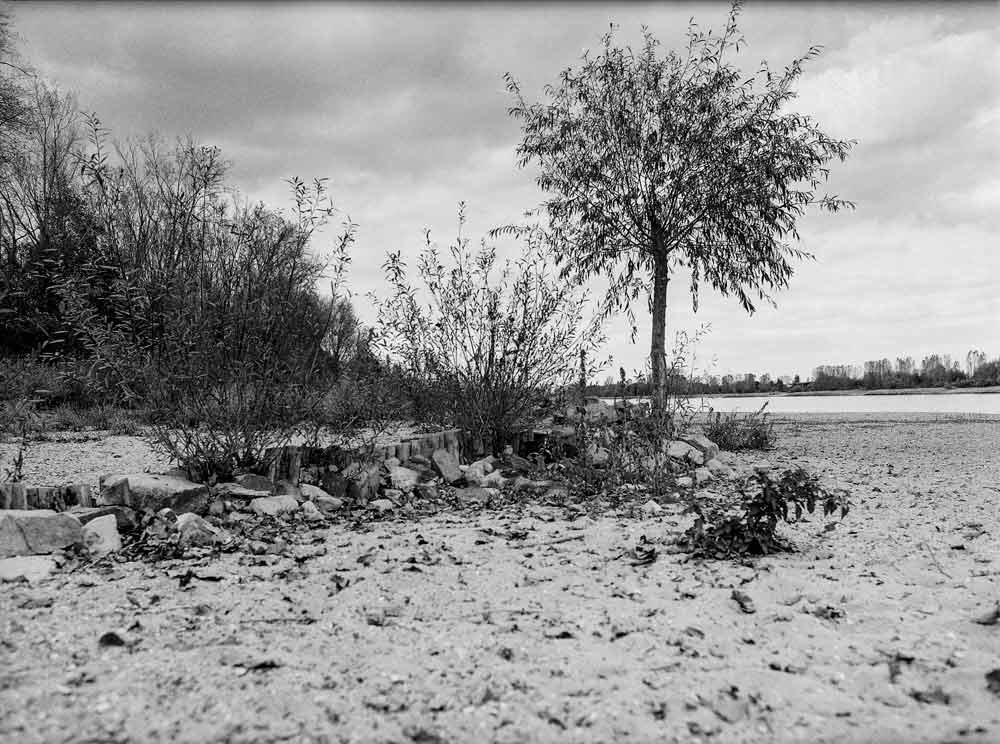 Am Rhein, Petersau - Sandbank