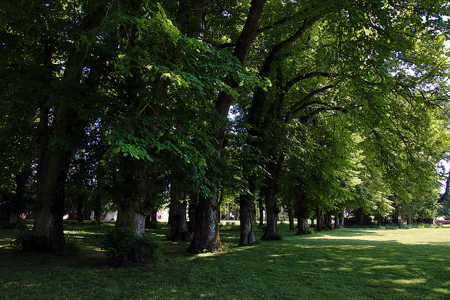 Le parc d'une ferme à Chevilly ( 45 )