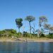 Botswana, Elephant on the Right Bank of the Chobe River