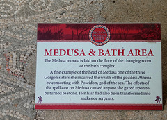 Medusa mosaic