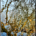 Winterwasser