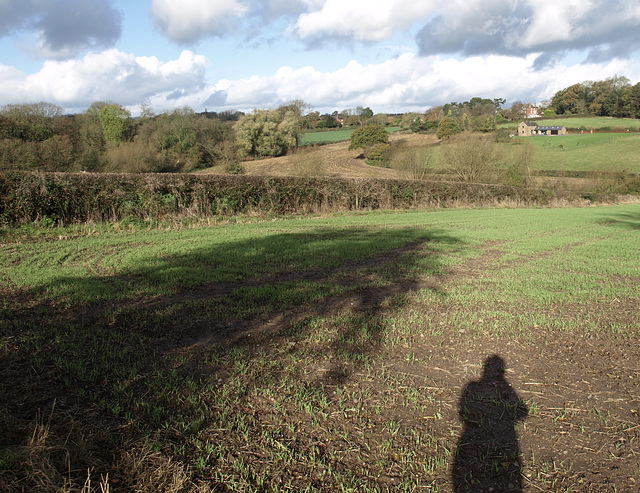 Shadow Selfie