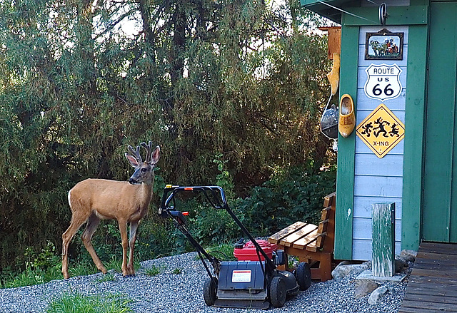 Behind our house.