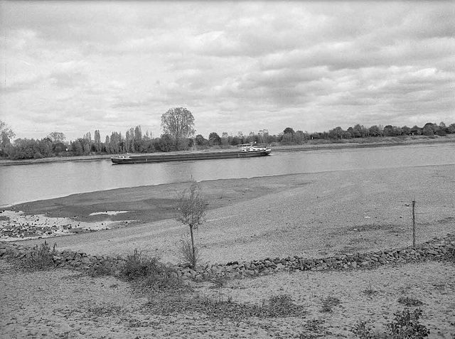 Am Rhein, Petersau-Sandbank