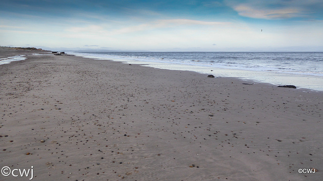 Findhorn Beach on a crowded sunny winter morning!