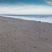 Findhorn Beach on a crowded sunny winter morning!