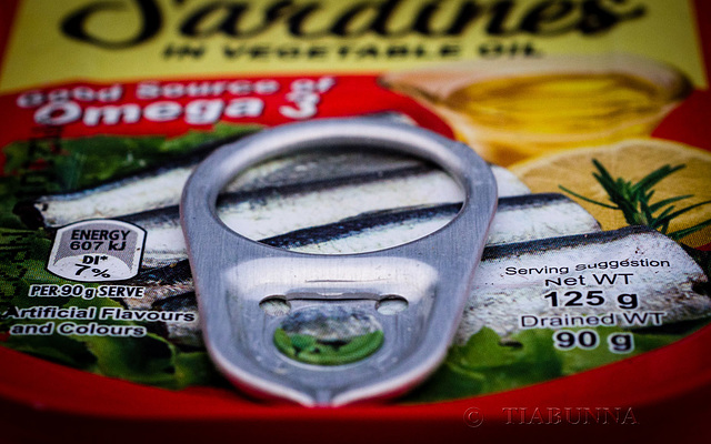 Sardines