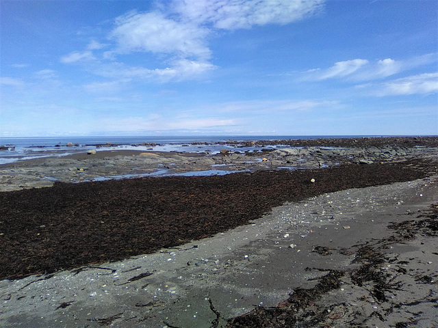 Plage non touristique