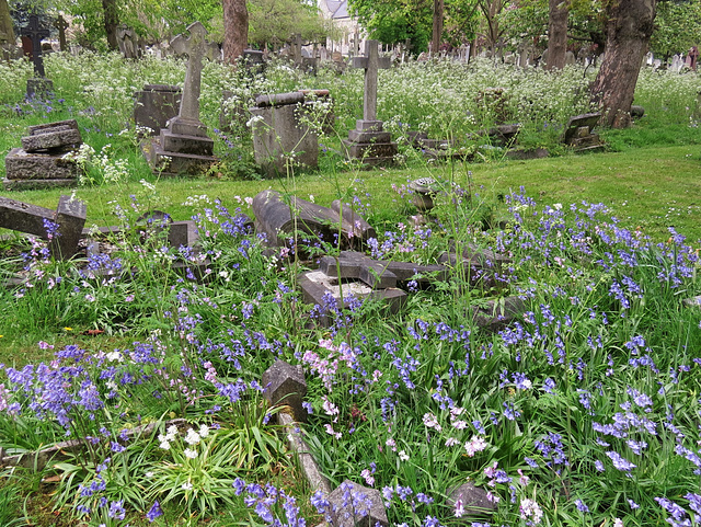 westminster cemetery, ealing, london