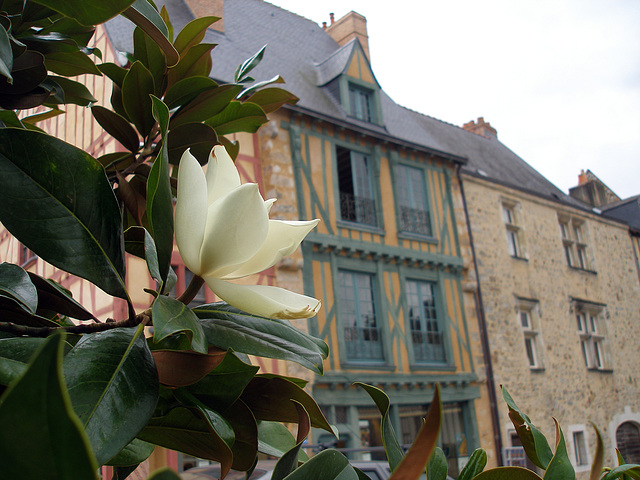 La belle ville du Mans