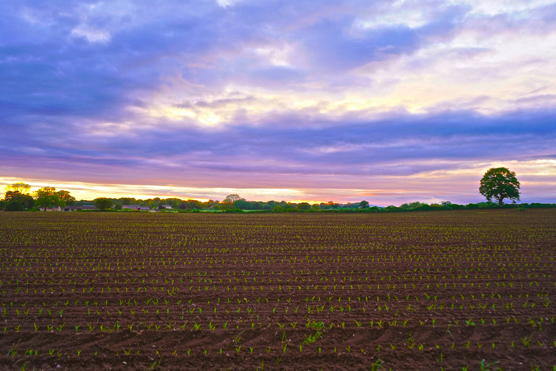 Bank holiday sunset