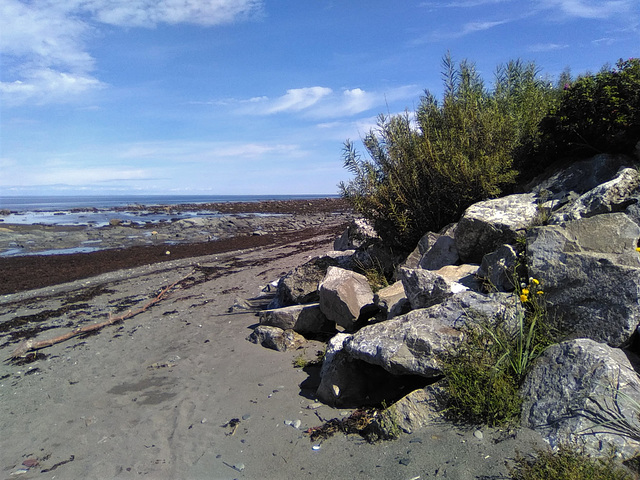 Plage et rivage