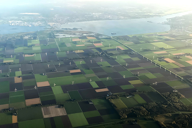 Netherlands 2021 – Flevoland and the Wolderwijd