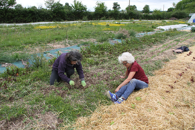 2020 Jardinage en grand !