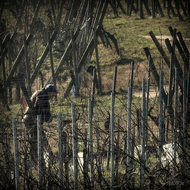 Travaux du moment